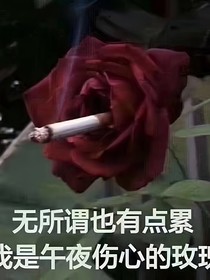 快穿之德云社的各种同人文