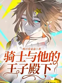 骑士与他的王子殿下（安金）……
