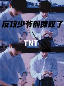 TNT：反攻少爷别撩奴了