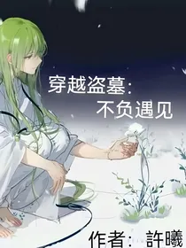 穿越盗墓：不负遇见