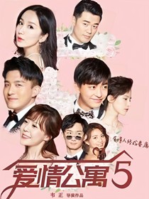 爱情公寓5：你眼里有星辰大海