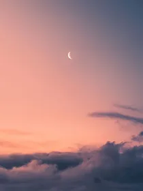 口袋里的太阳花
