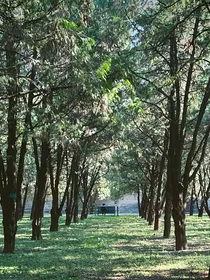 远雯：沉入海
