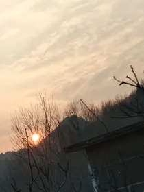 越过荆棘奔向你