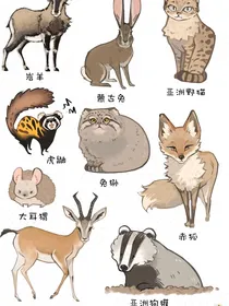 凹凸世界之鬼魂的她？