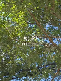 抽象解-d712