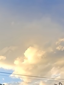 鲸落君安