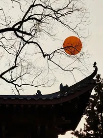 王冠之下