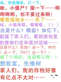 MC：我的存档点不太对