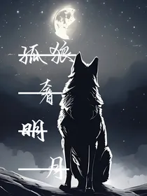 孤狼奢明月