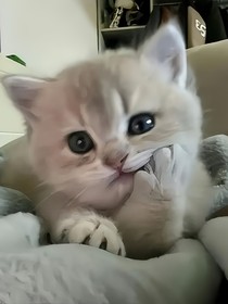 骨骨相依