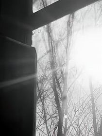 芥敦：散文集
