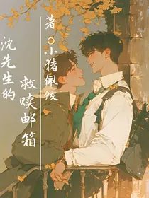 沈先生的救赎邮箱