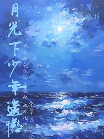 月光下少年遗憾