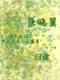 唐晓翼之归途