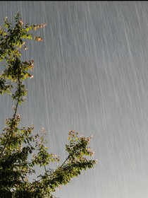 明天还有雨吗？