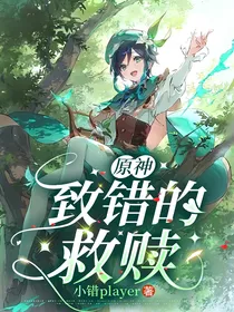 原神：致错的救赎