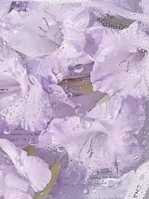 香香软软的元帅