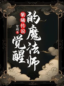 紫曦传说：觉醒的魔法师