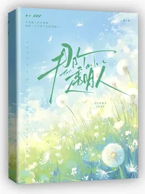 韩娱：那个透明人