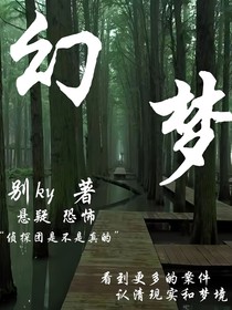 幻梦（探案）