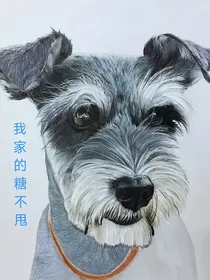 我家的糖不甩