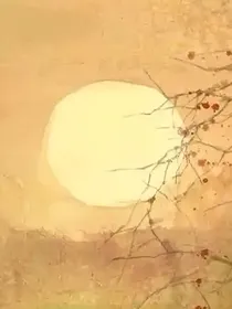 老头的修真之路