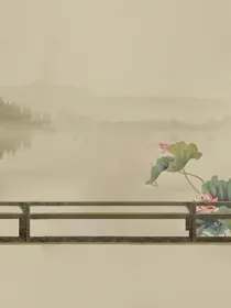 猪猪侠，相互救赎的光
