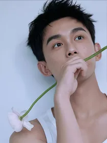 全明星：攻略大作战之从吴磊开始