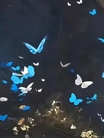 （无限）副本里禁止乞讨啊喂