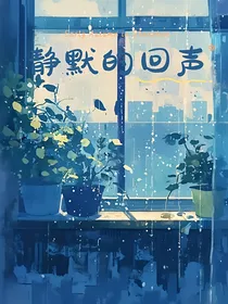 静默的回声