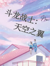 斗龙战士：天空之翼