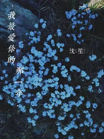 我最爱你的那一年