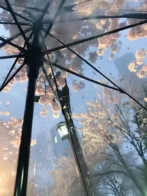 樱桃小丸子之你就是我的风景