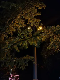 七街长巷