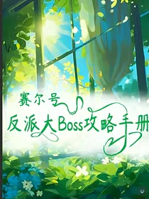 赛尔号：反派大Boss攻略手册