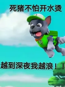 汪汪队番外篇