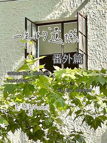 海棠花开了，你看见了吗？