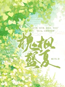 槐枫盛夏