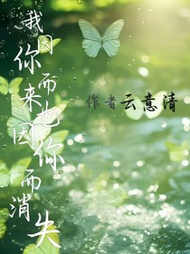 我因你而来，也因你而消失