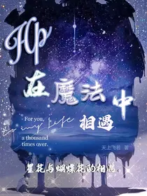 HP在魔法中相遇