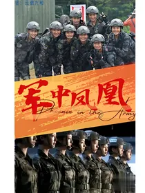 军中凤凰