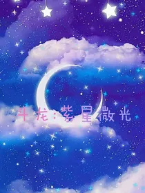 斗龙：紫星微光