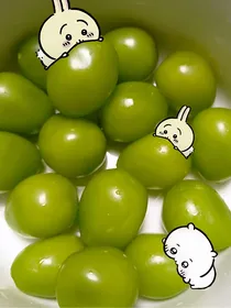 睦邻与白钦之江湖缘