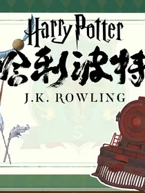HP：斯莱特林的守护