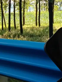 秋日初遇