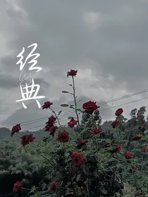 随笔文1