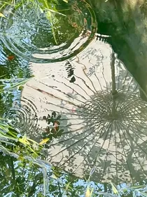 有你在就是盛夏