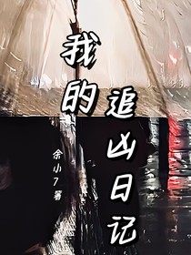 我的追凶日记