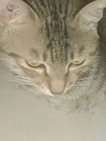 向往的综艺第八季